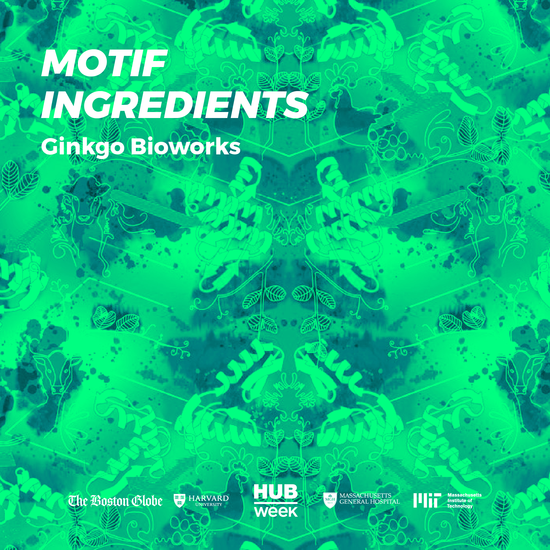 Motif Ingredients-101